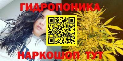 гашик Ликино-Дулёво