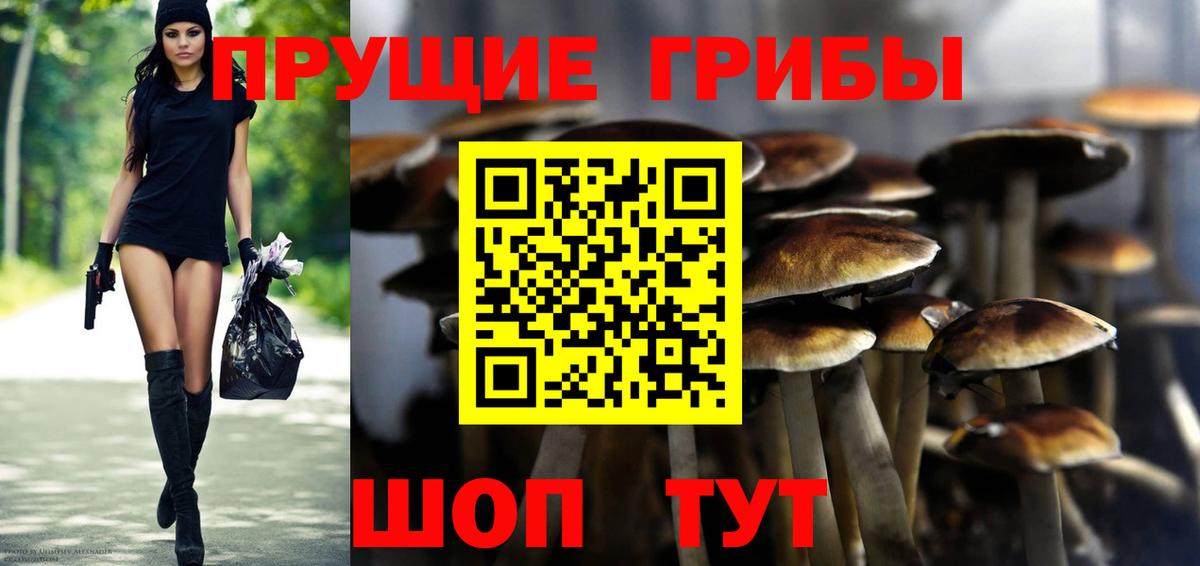Псилоцибиновые грибы мицелий  Вход с VPN  где купить наркоту  Ступино 